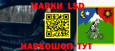 шишки Камышлов