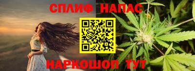 шишки Камышлов