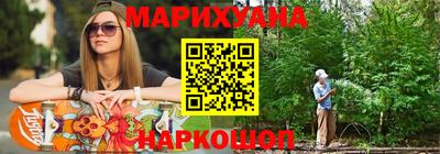шишки Камышлов