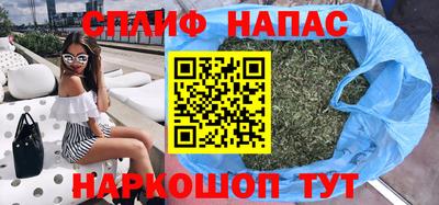 шишки Камышлов