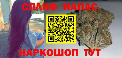 шишки Камышлов