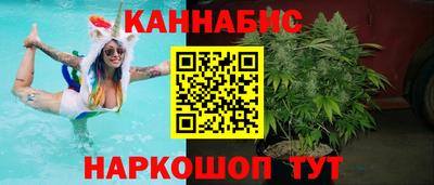 шишки Камышлов