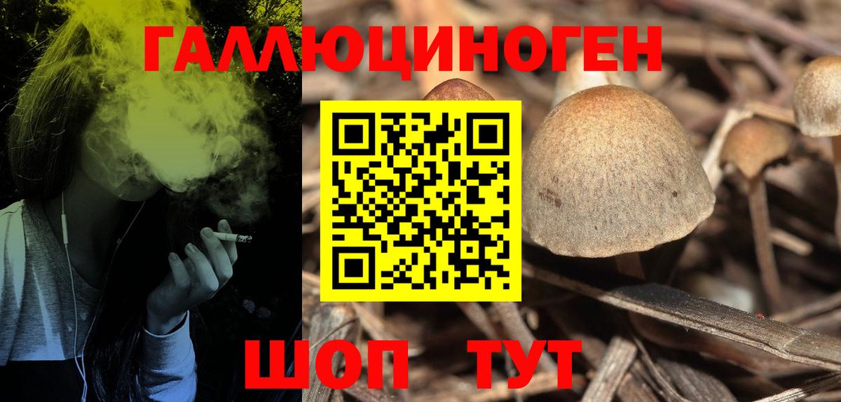 Галлюциногенные грибы прущие грибы Ефремов